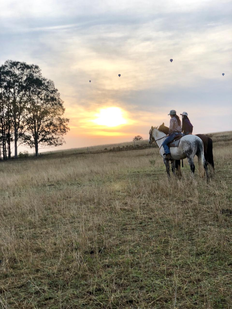 Rise and Shine Group 75minute Early Morning Hunter Valley Horses