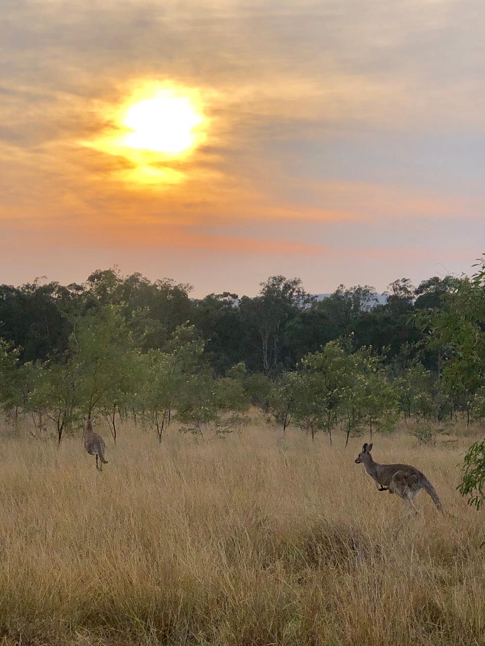 Rise and Shine Group 75minute Early Morning Hunter Valley Horses