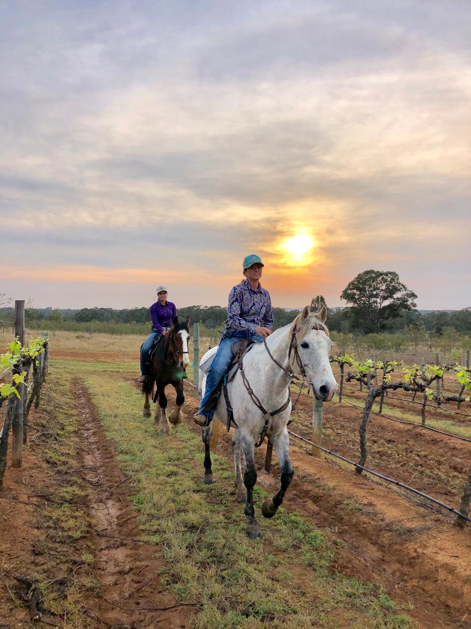 Rise and Shine Group 75minute Early Morning Hunter Valley Horses