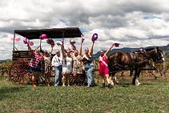 Hens Party Horse Drawn Carriage Tour Hunter Valley 