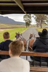 SPECIAL - Carriage Ride with Local Chocolate and Wine 