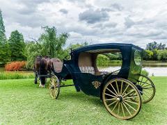 Romantic Couple's Private Horse and Carriage Wine Tour 