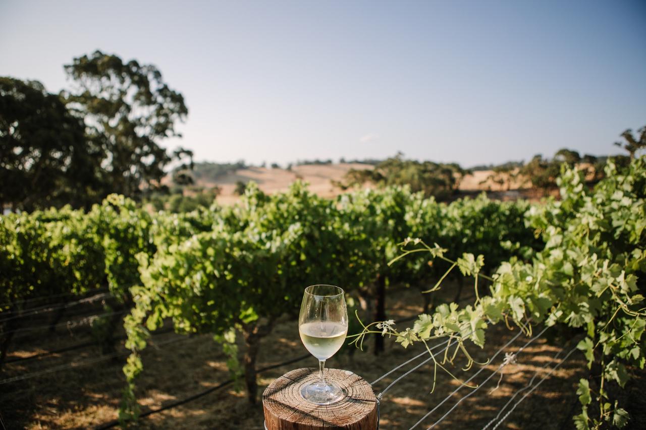 Sophie's Hill Tasting Experience - 4 Wines