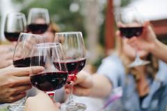 Terroir Tasting Experience - 8 Wines