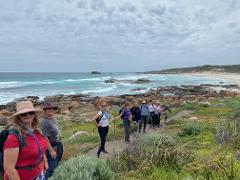 The Creativity Retreat with Dr Erika Jacobson - Margaret River