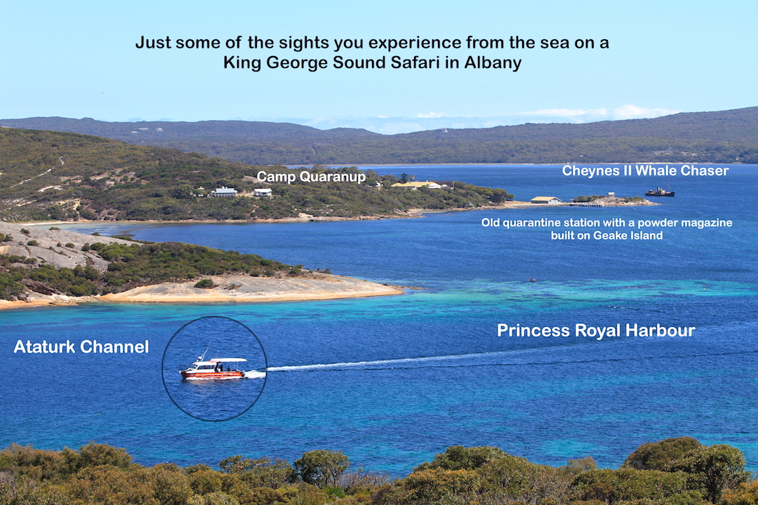 3 Hour Summer Sea Safari (Nov - Apr) around King George Sound