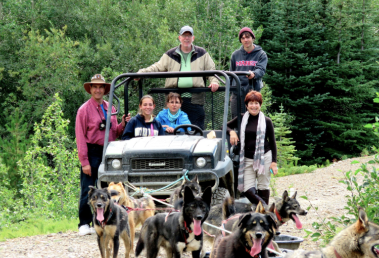 Yukon Summer Sled Dogs