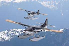 Juneau Private Custom Flightseeing