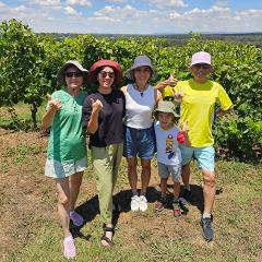 Private - Hunter Valley Wine Tour from Sydney