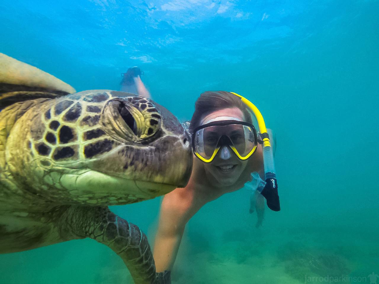 Ultimate Whitehaven Beach, Snorkel & Guided e-Mountain Bike Whitsunday Island Experience