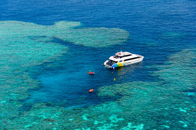 Explore - Outer Great Barrier Reef Snorkel