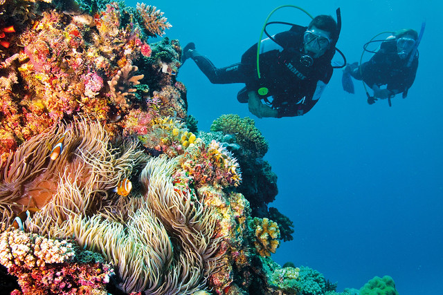 Explore - Outer Great Barrier cert. Dive