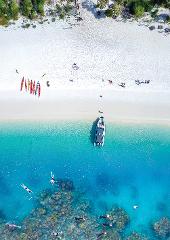 Full Day Snorkelling, Whitehaven Beach & Whitsunday Island Experience