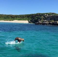  Carnac Island Sailing Cruise from Fremantle on Private Luxury Yacht Charter