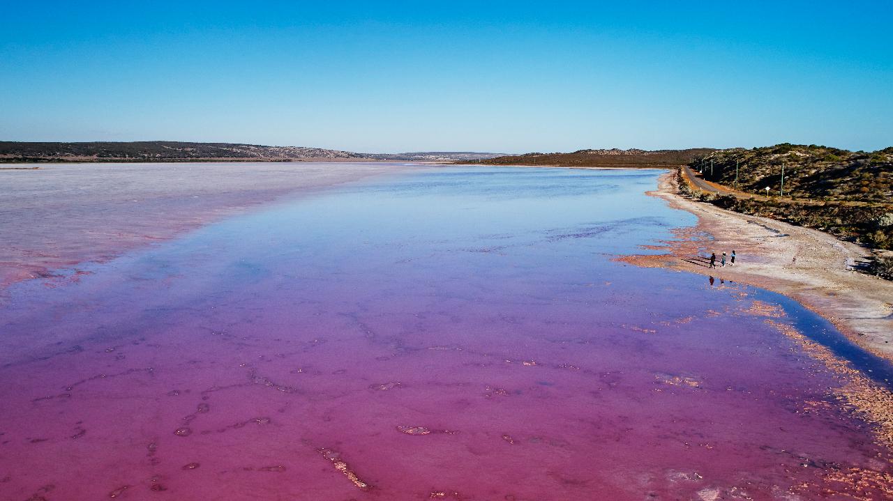 Hutt Lagoon Pink Lake Flight with River Gorges from Geraldton