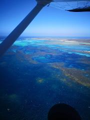 Abrolhos full Day tour 