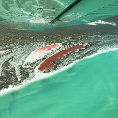 Marine Life & Coastal Cliffs Grand Loop from Shark Bay 