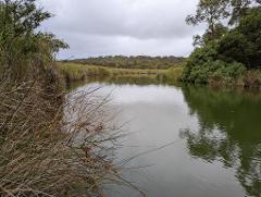 Private Kayak Tour