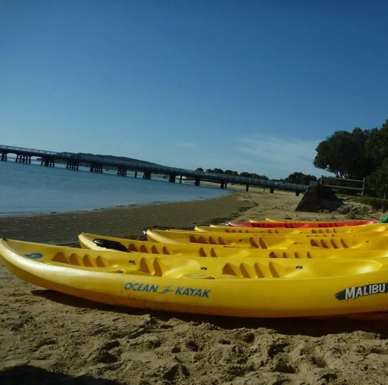 Kayak Hire