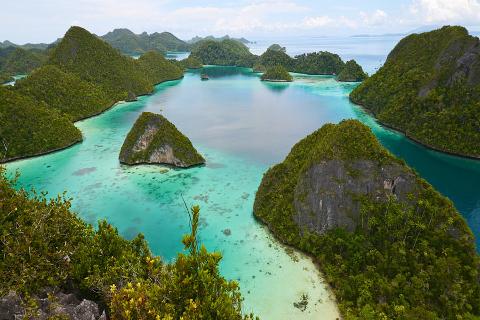 Raja Ampat, Whales, Dolphins, Snorkelling and Diving Expedition