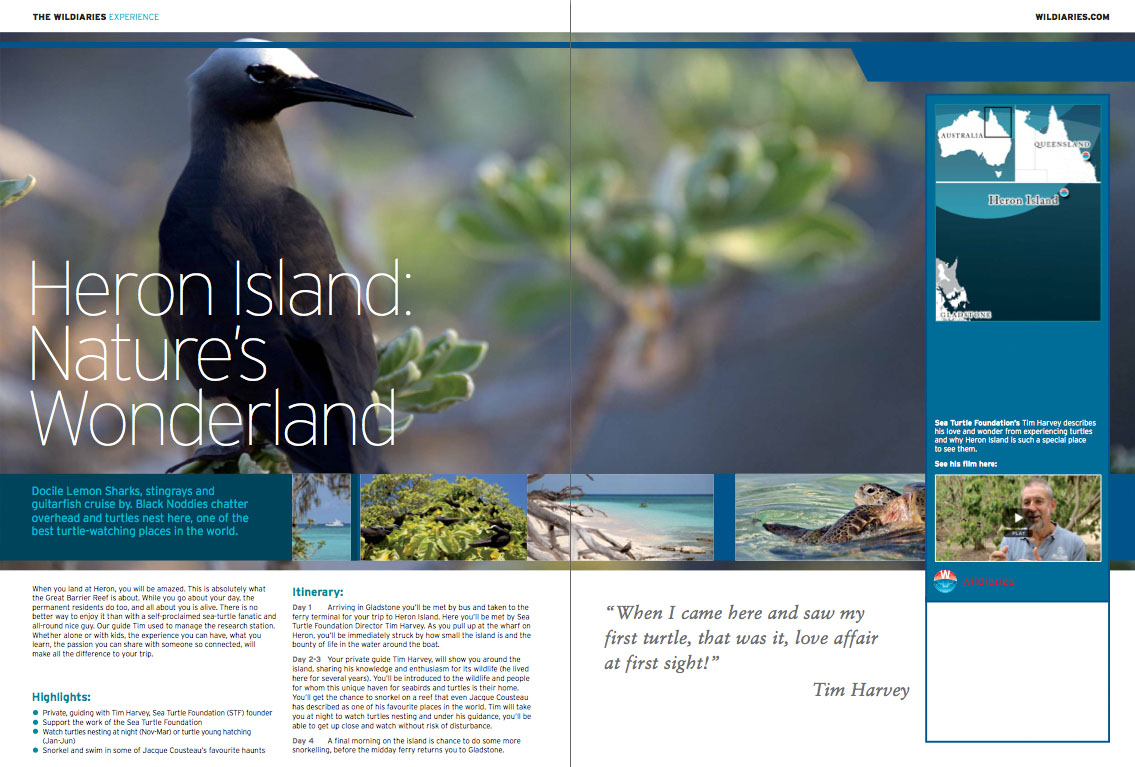 AU Heron Island: Nature's Wonderland - Short Break PRIVATE GUIDED