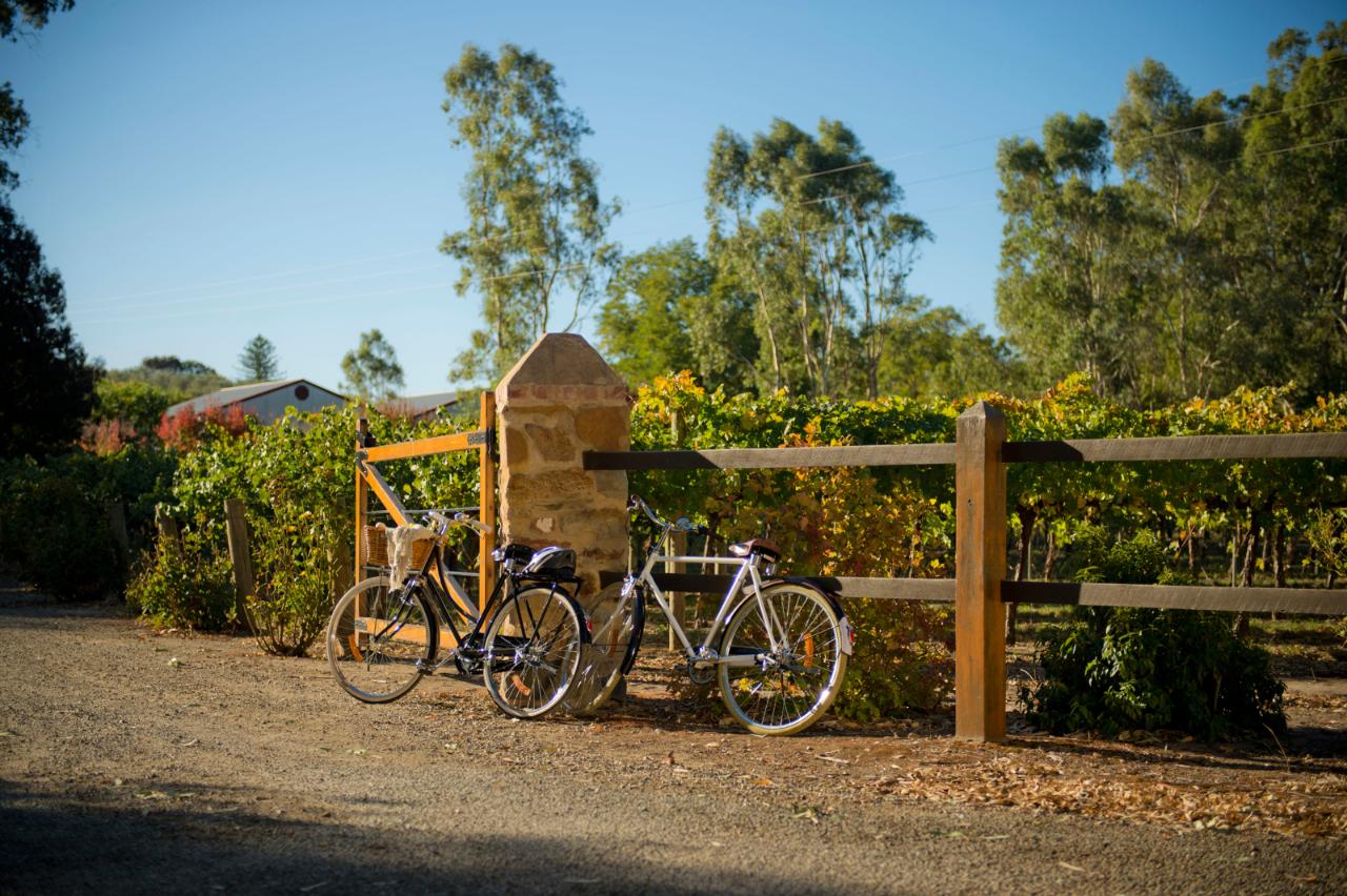 Gourmet Cycling Deluxe - Clare Valley or Barossa
