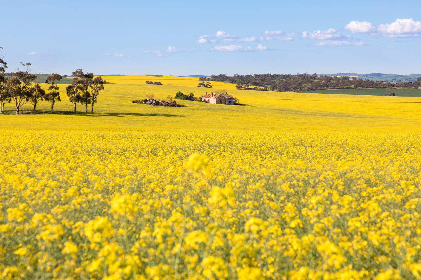 Clare Valley - Private - Full Day Tour