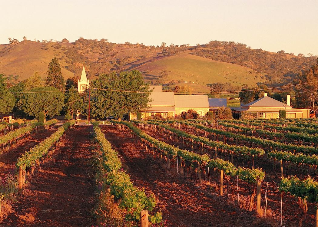Barossa Transfer One Way 