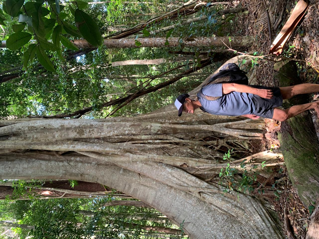 Private Guided Hiking Tour from Rainbow Beach - 2-3 hour hike