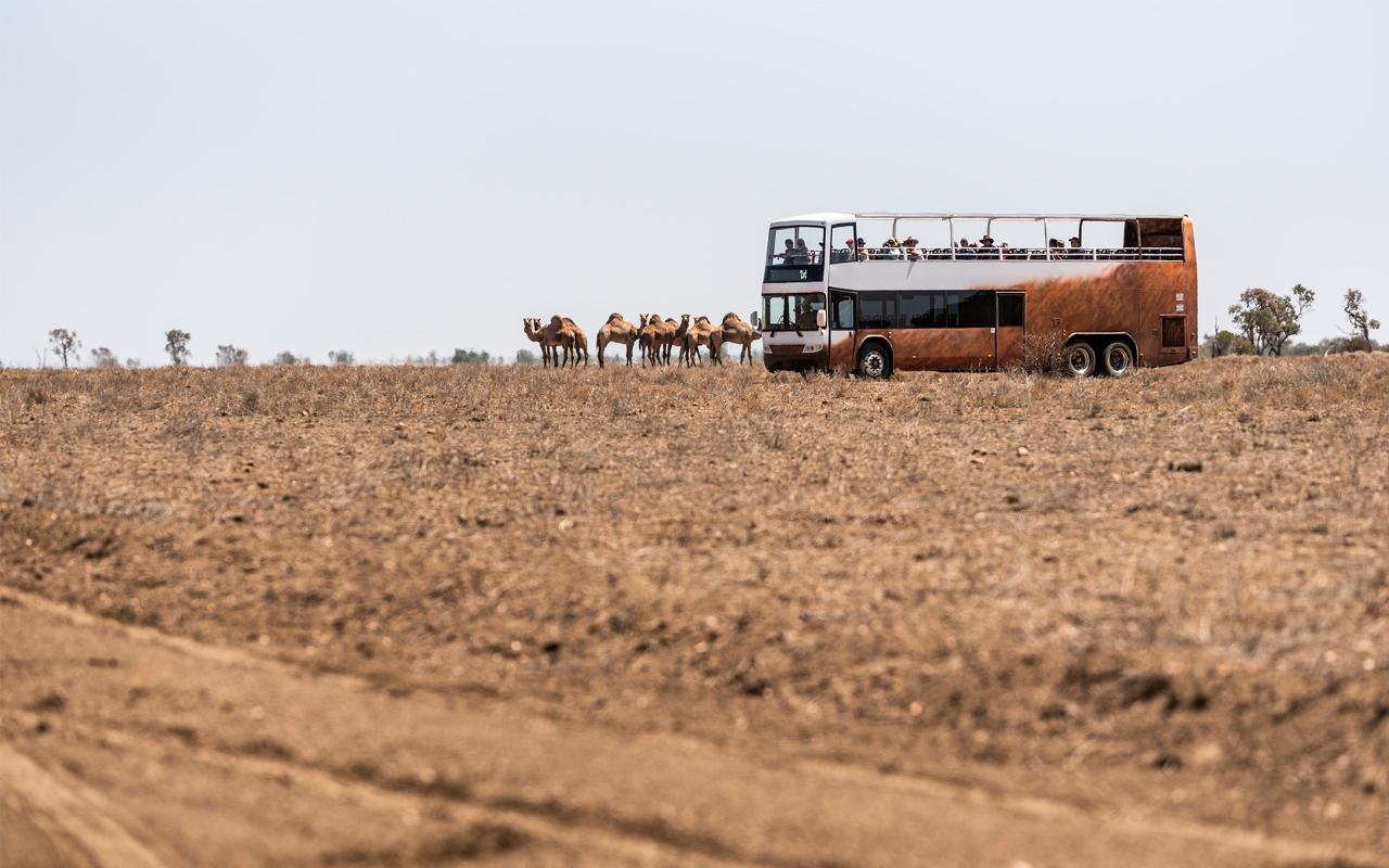 Unleash Longreach Holiday