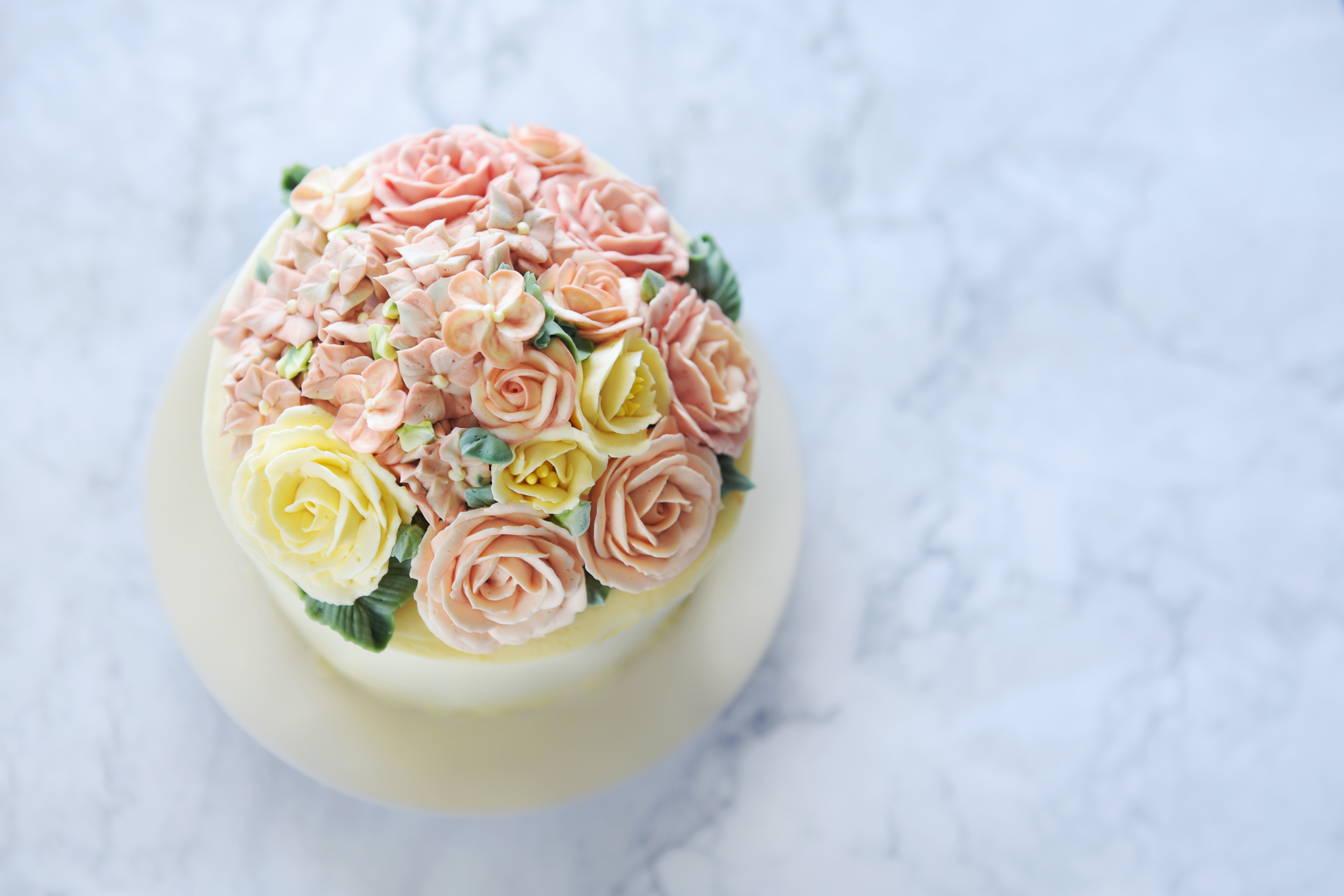 Buttercream Piping Succulent Art Cake Decoration Workshop A2 +B