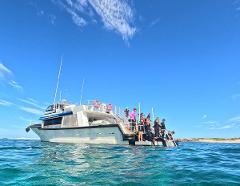 Jurien Bay Reef Snorkel Tour 
