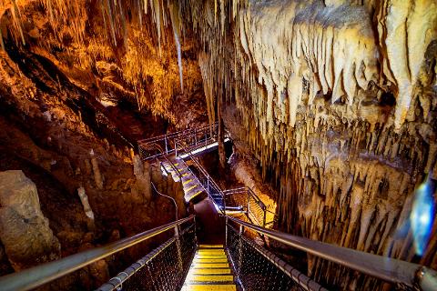 Hastings Caves, Thermal Springs Pool and Tahune AirWalk Tasmania Australia