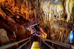 Hastings Caves, Thermal Springs and Tahune AirWalk