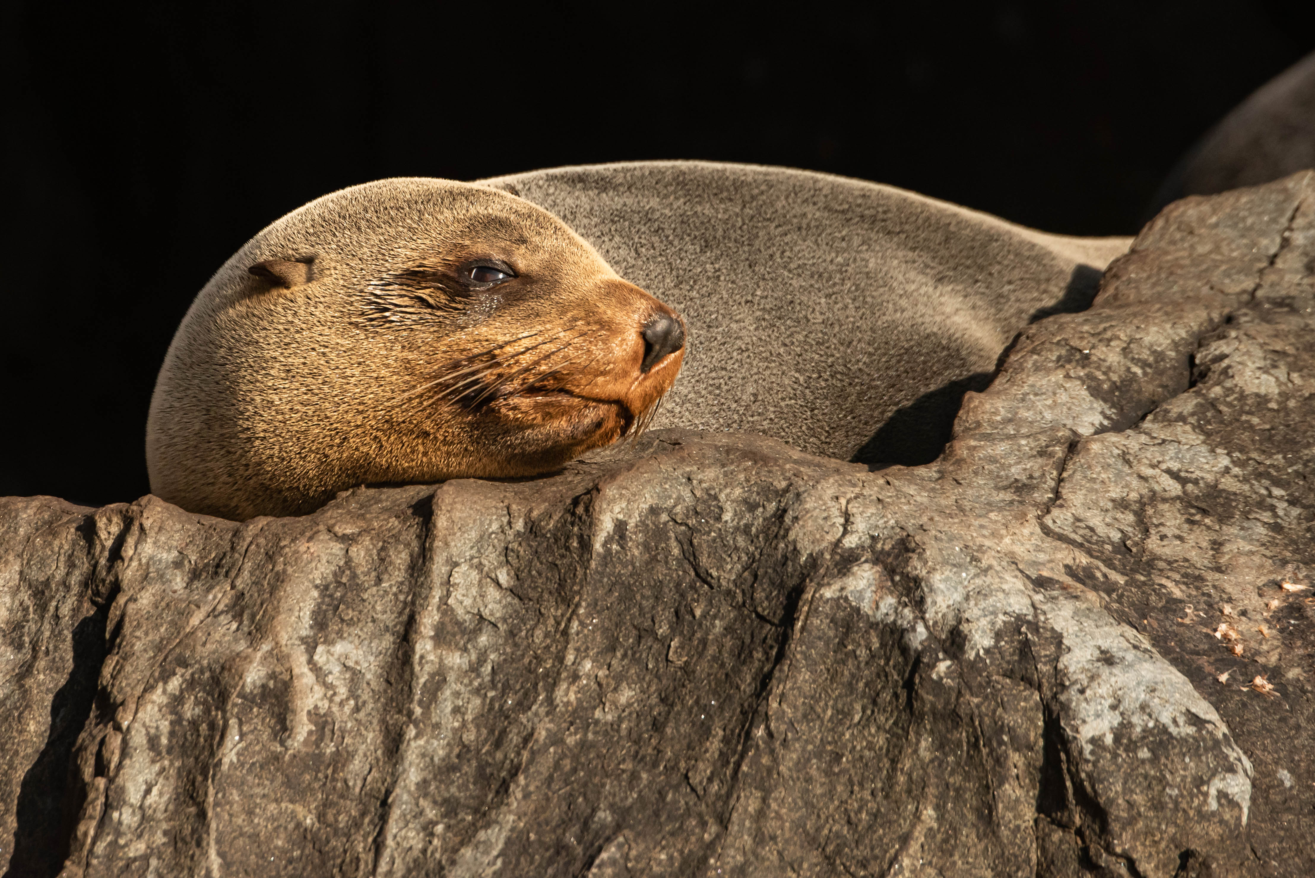 The Great Tasmanian Long Weekend