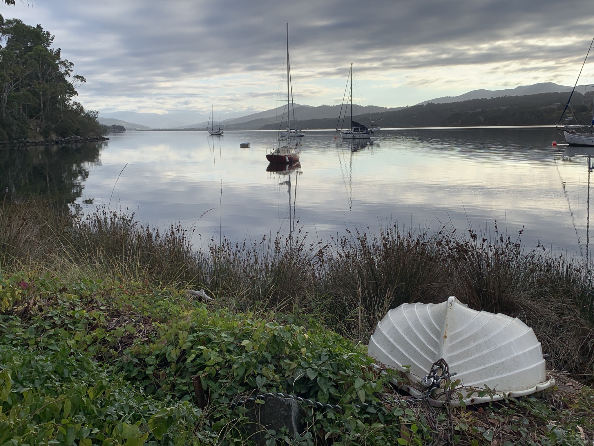 Hobart Shore Excursion Hastings Caves and Huon Valley