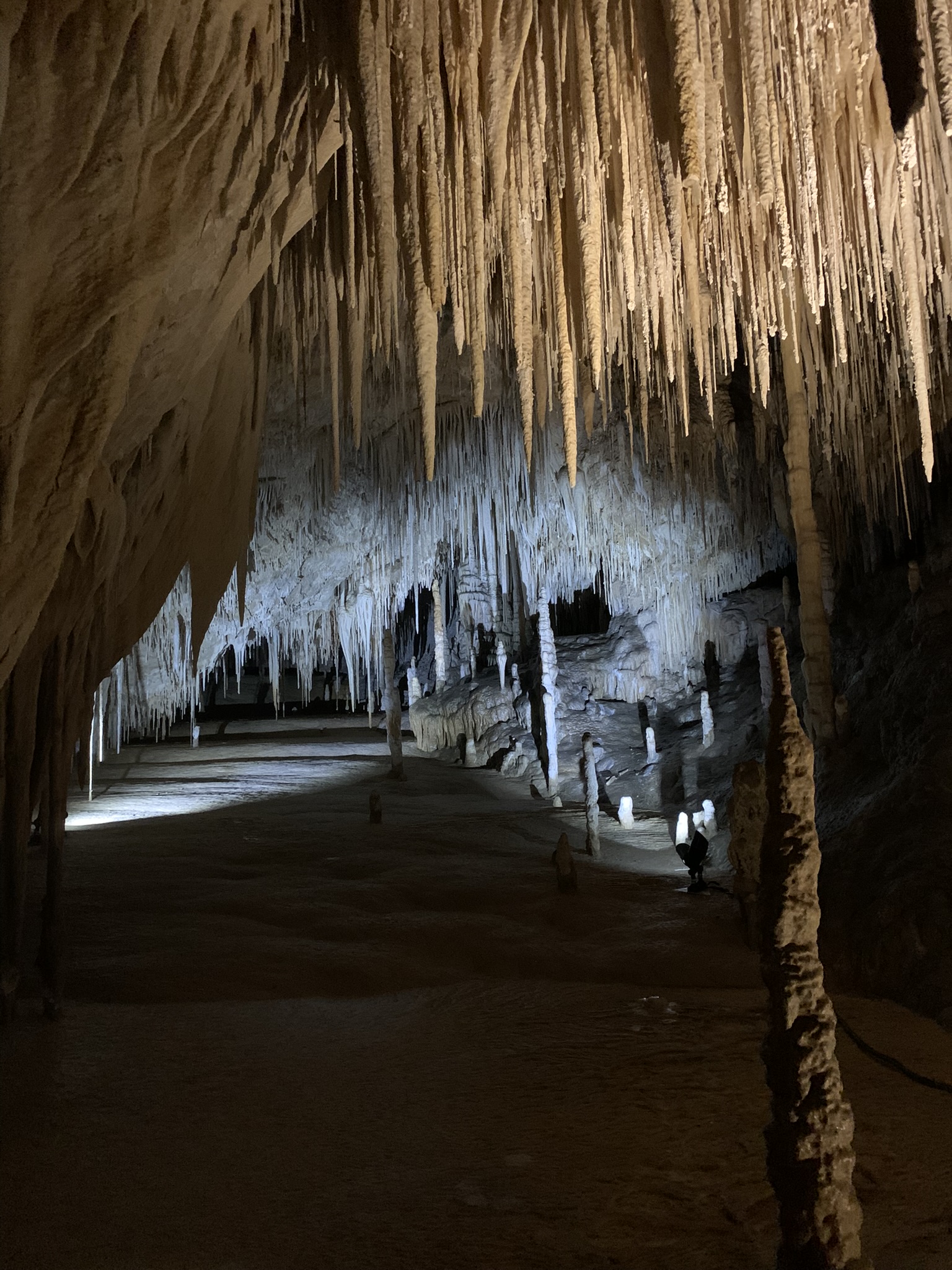 Hobart Shore Excursion Hastings Caves and Huon Valley