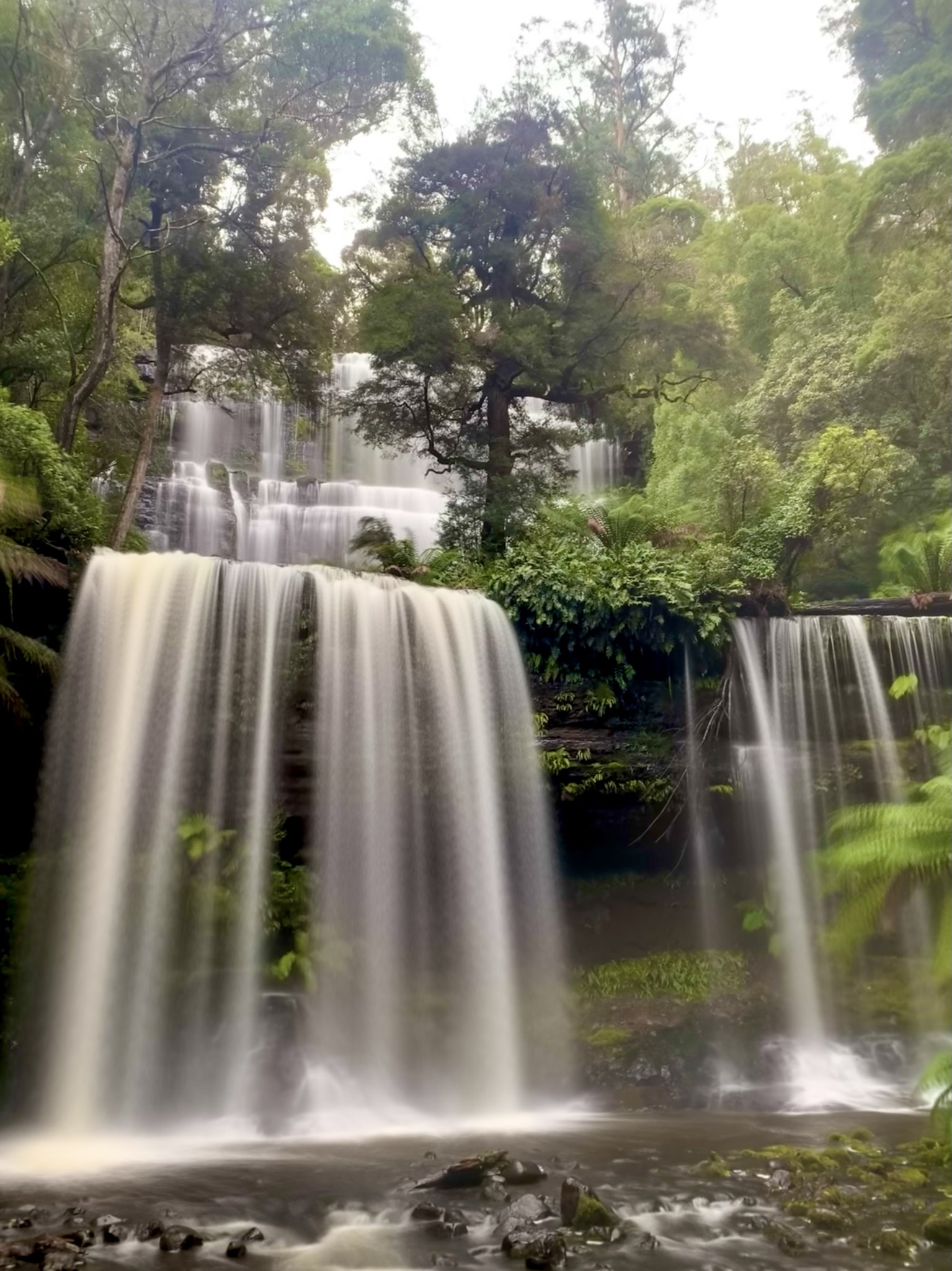 6D5N Tasmania Unveiled: Discovering Icons and Hidden Gems