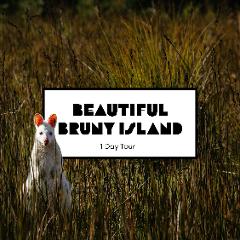 Beautiful Bruny Island Adventure
