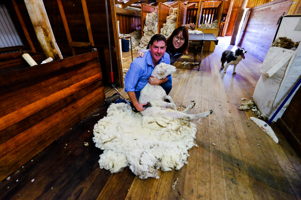 6D5N Tasmania Unveiled: Discovering Icons and Hidden Gems