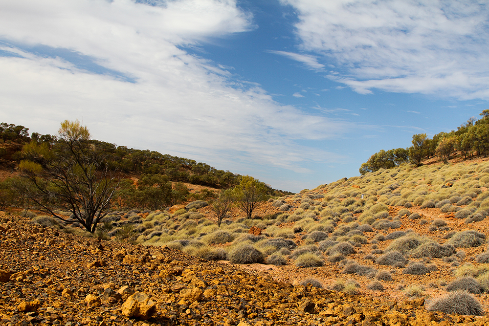 dinosaur stampede lark quarry