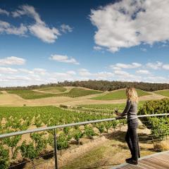 Pyrenees Wine Tour