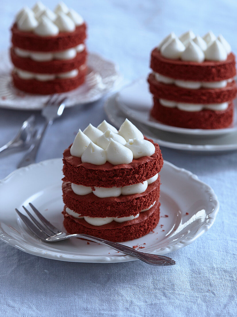 Red Velvet Mini Cakes Class