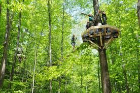 06f3789c5f8c401cbf20c8eea43eaae9Zip_Line_1