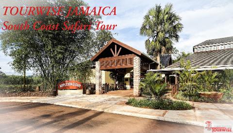 South Coast Safari - Black River, YS Falls & the Joy Spence Appleton Rum Estate (From Negril)