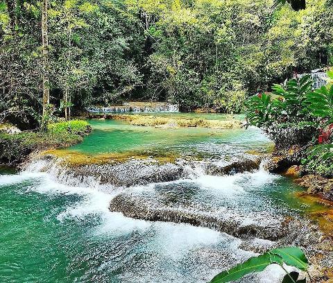 Black River and YS Falls Adventure (From Grand Palladium, Lucea)