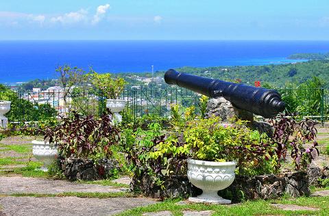 Jamaica_ocho_rios_shaw_park_gardens