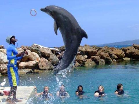 Leaping