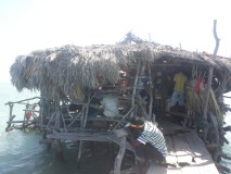 The_Bar