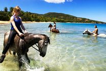 Jamwest Zipline and Horseback Riding Combo Tour (From Grand Palladium. Lucea)